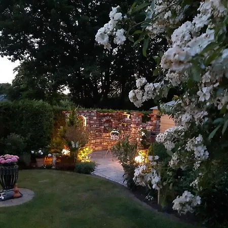Hydrangea