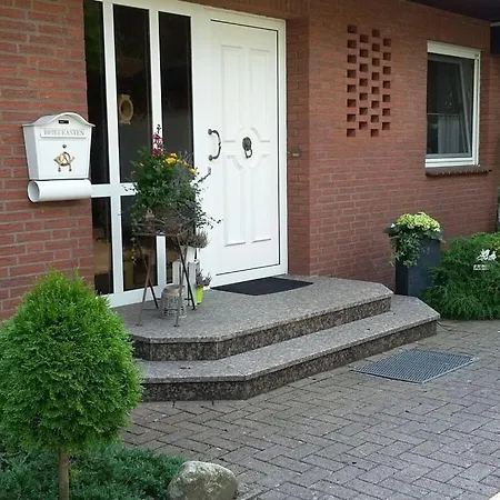 Hydrangea * Schneverdingen