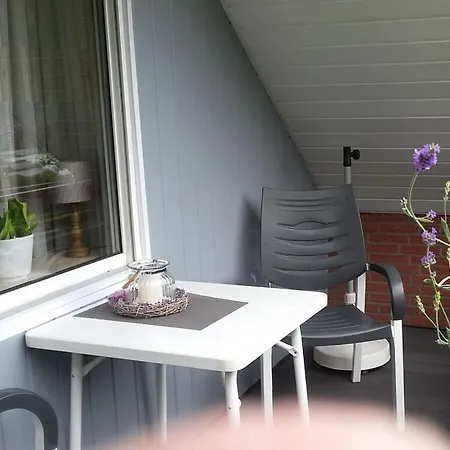 Hydrangea *