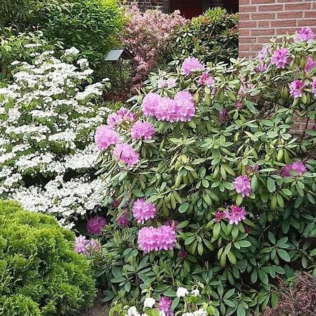 Apartmán Hydrangea *